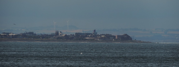 Along the coast