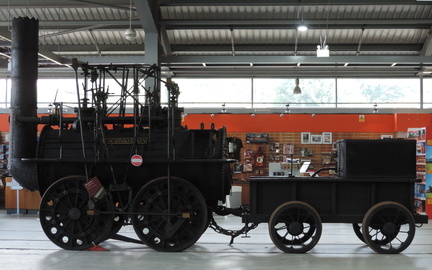 Locomotion