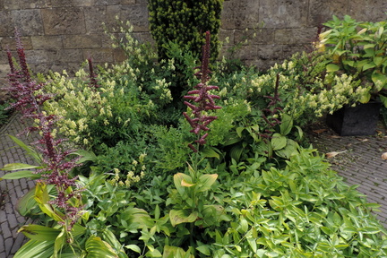 Wolfsbane