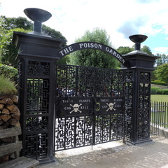 Poison Garden