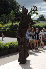 Tree man
