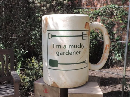 51-SteamingMug