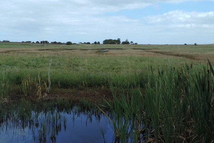 Nature reserve