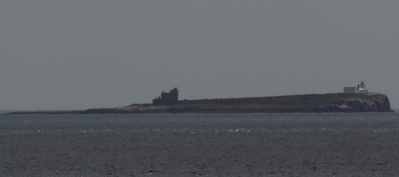 Inner Farne