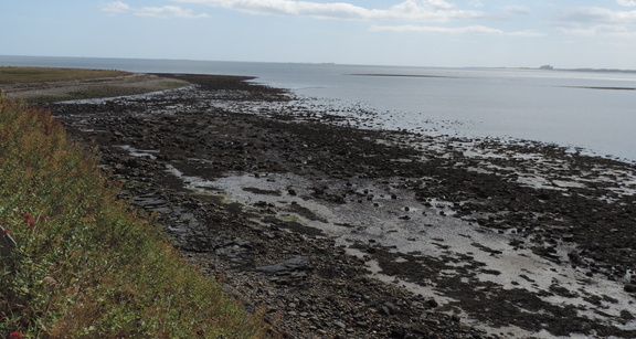 Stony beach