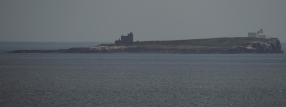 Inner Farne