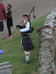 Piper