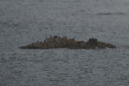 Rocks