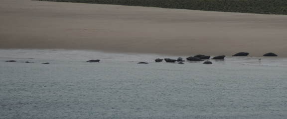 Seals