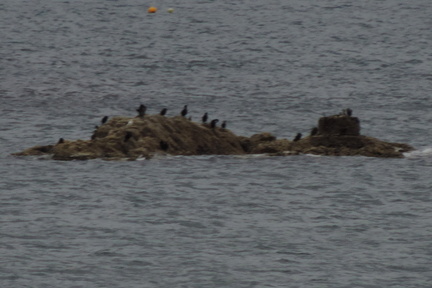 Rocks
