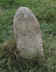 Stone