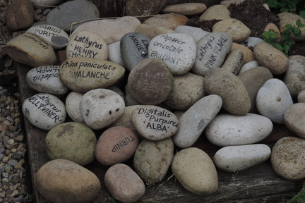 Pebbles
