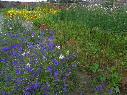 Flower beds