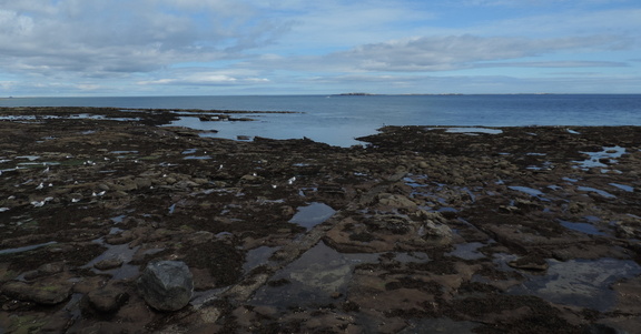 Rocks