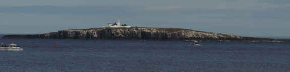Inner Farne