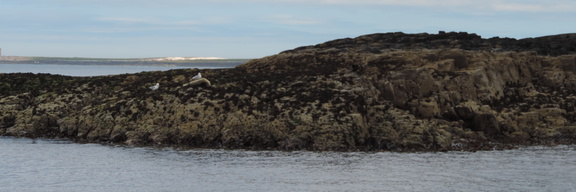 Rocks