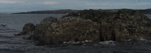 Seals
