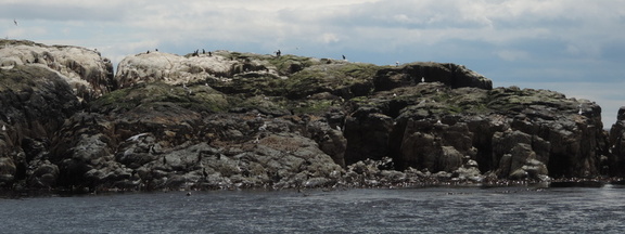 Rocks