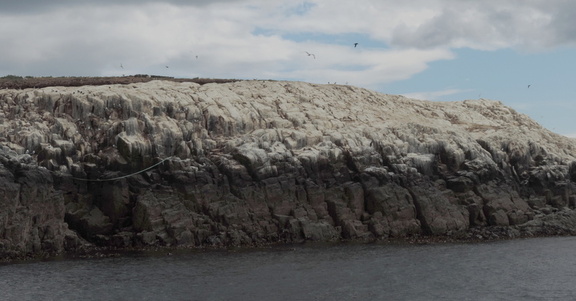 Cliffs
