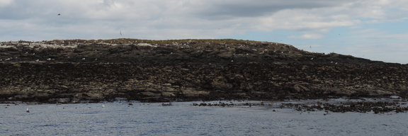 Rocks