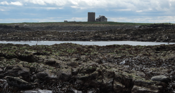 Across the islands