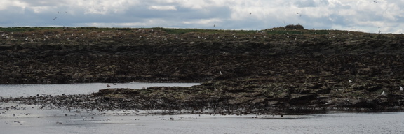 Rocks
