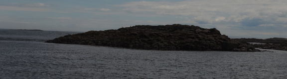 Rocks