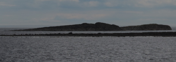 Rocks