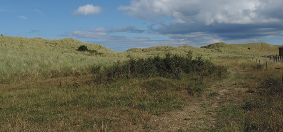 Dunes