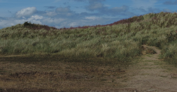 Dunes