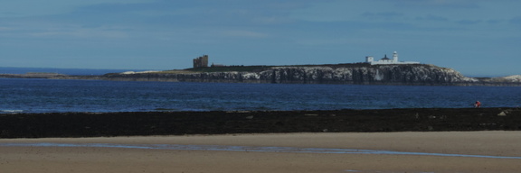 Inner Farne