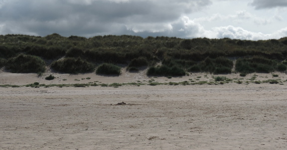 Dunes