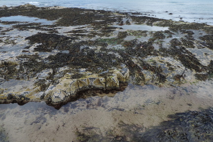 Rocks
