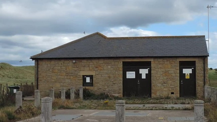 House Martins