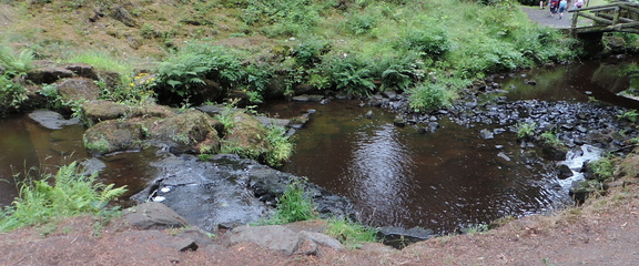 Stream