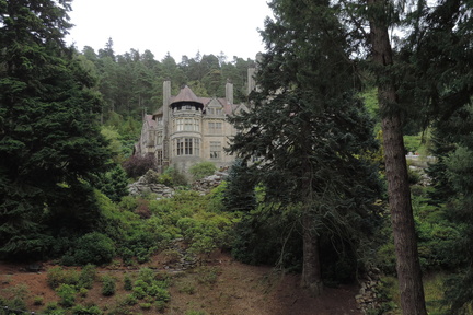 House through the trees