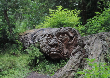 Face