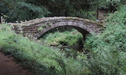 Bridge
