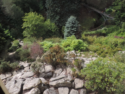 Rock Garden