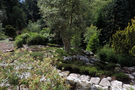 Gardens