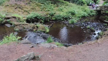 Stream