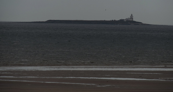 Coquet Island