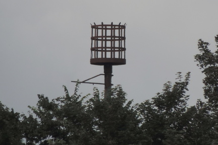 Beacon