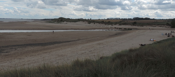 Estuary