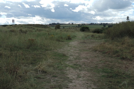 Through the dunes