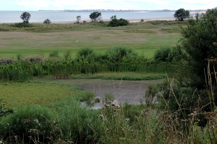 Mud flats