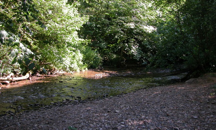 Stream