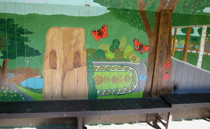 Shelter