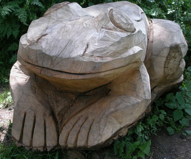 Frog