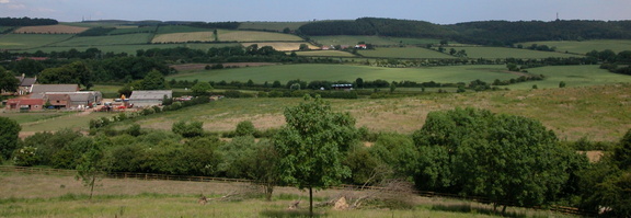 Landscape